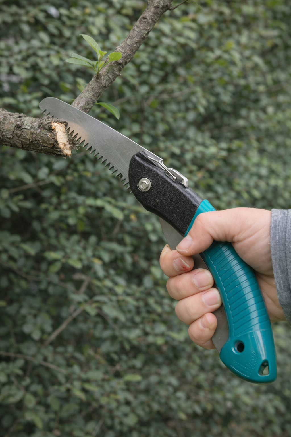 Sharrë për krasitje